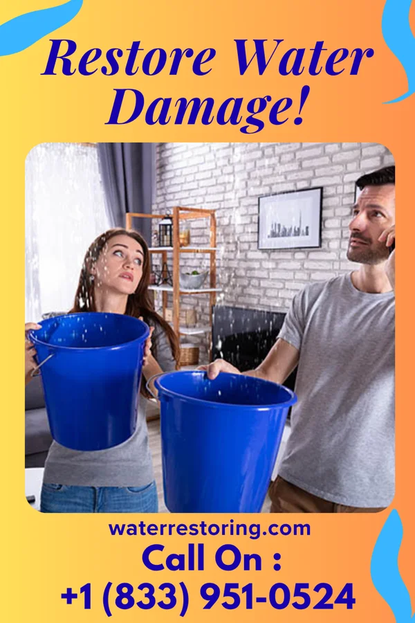 water restoration Central Sewage Cleanup Services Maunie