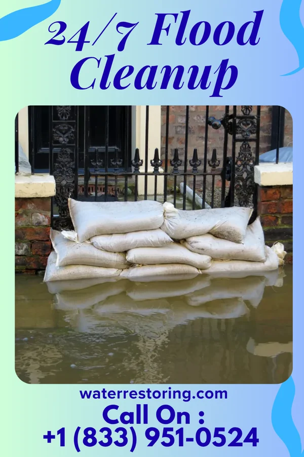 24/7 Flood Cleanup in Maunie, IL