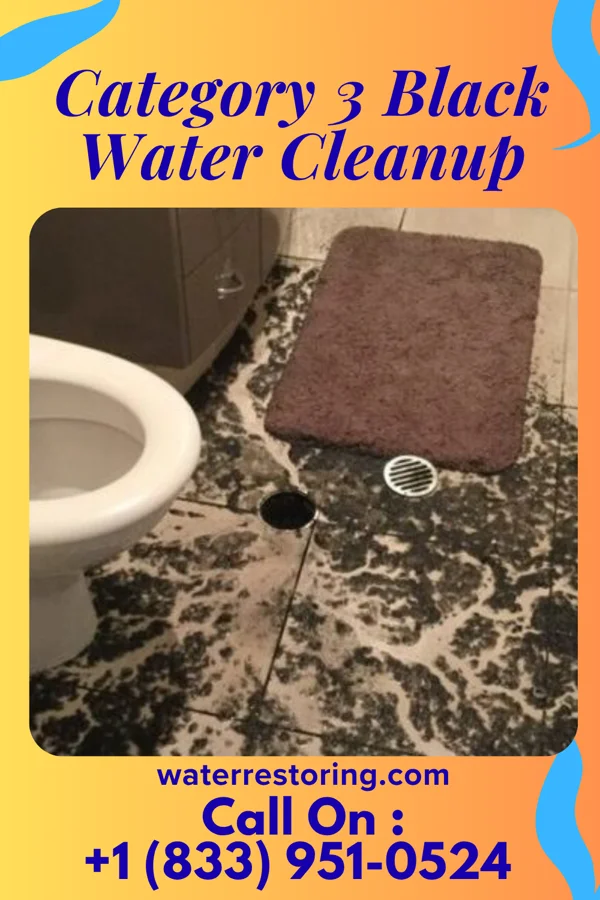 Category 3 Black Water Cleanup in Maunie, IL