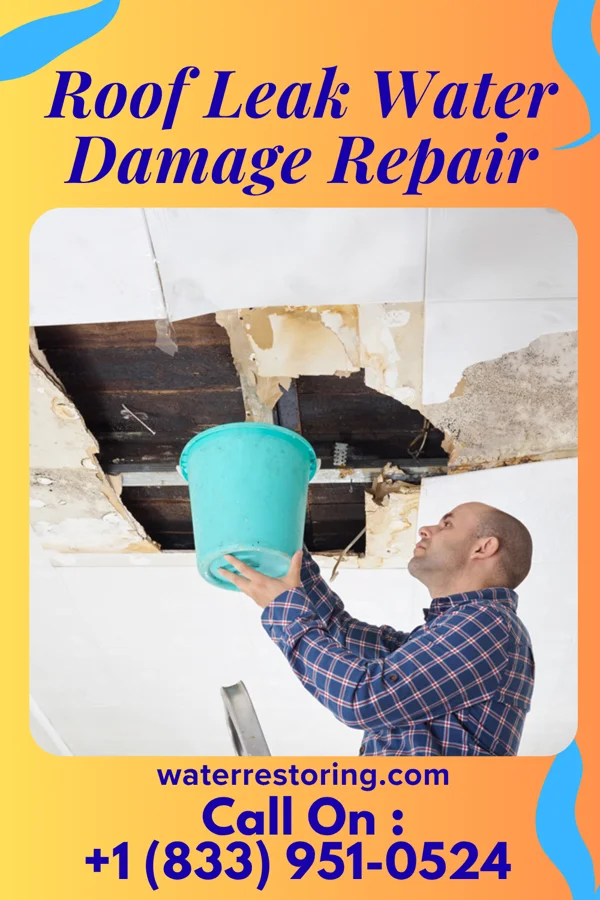 Roof Leak Water Damage Repair in Maunie, IL